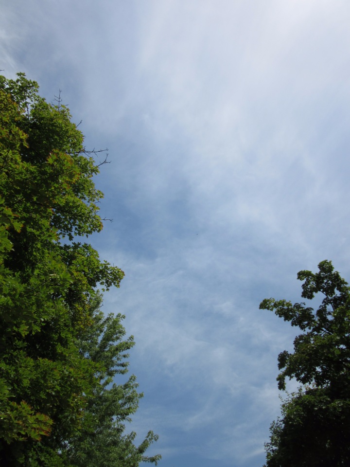 По дороге летним днём Магдалена шла с чепцом