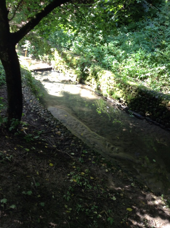 "Есть на Москве места такие..." ч.2. Тайны Коломенского оврага