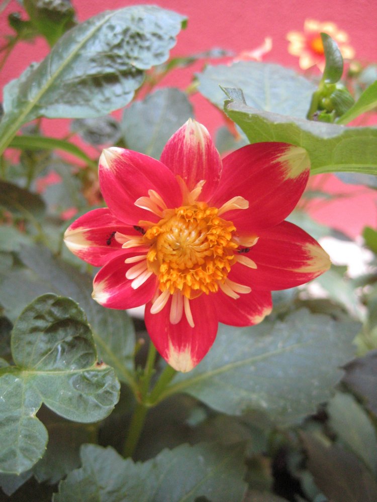 Вот такая вот Болгария — Туризм и путешествия: фотоотчеты из поездок