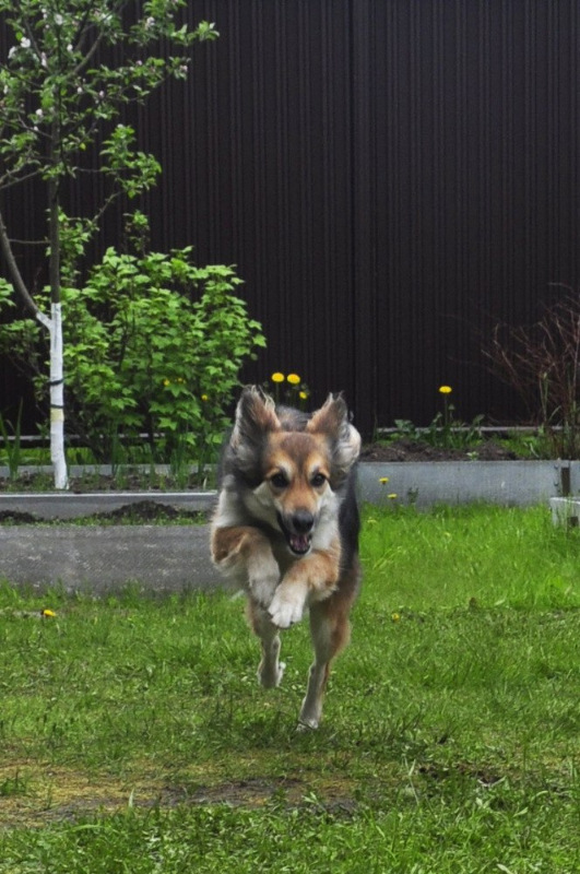 Отчёт за май и всё лето — Авторские мишки Тедди и друзья: фото