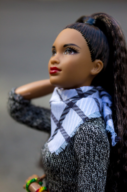 Мои Барбеечки Made to Move и гибриды