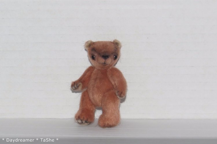 Медвежонок Терри — Авторские мишки Тедди и друзья: фото (фото 4)