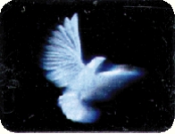 Зимнее солнце. Глава 8. Староста