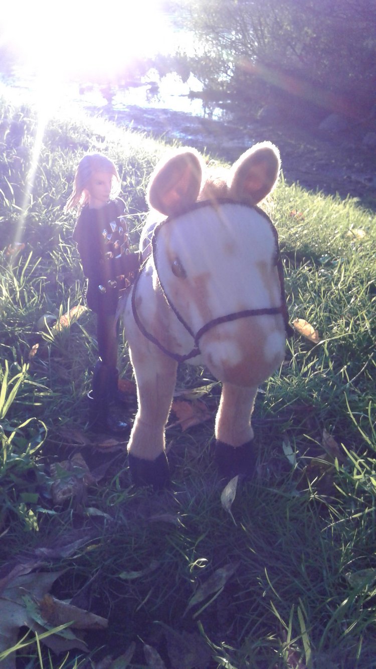 Зимнее солнце. Глава 6. Дом там, где сердце