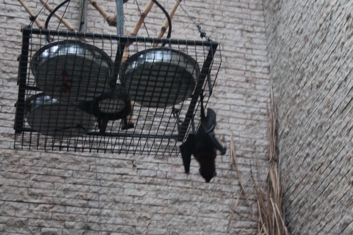 По Германии: зоопарк Лейпцига, часть 2